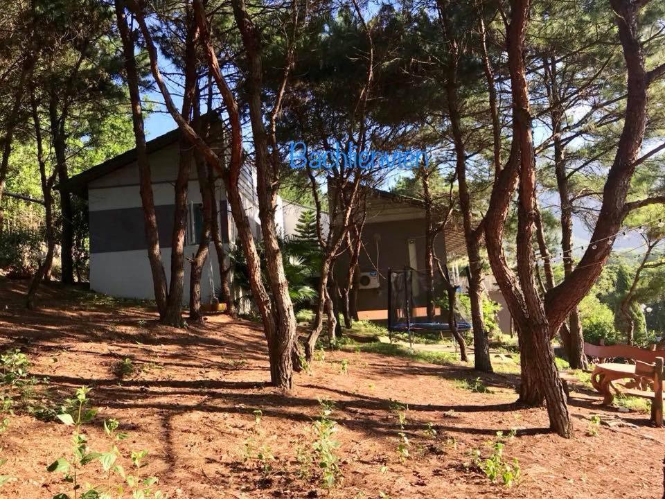 Bachlien Pine Forest Villa Hanói Exterior foto